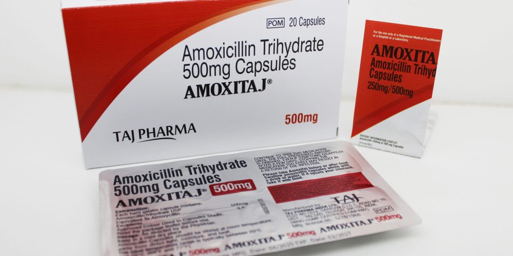 International Trade Fair 2026